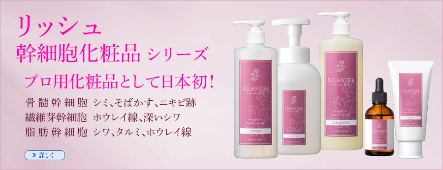 エグランティエ リッシュエッセンス 60ml 業務用 3個セット<br><br> サロン専売 化粧品 EGLANTIER（エグランティエ）リッシュシリーズ<br><br>  美容・コスメ・香水・スキンケア・美容液 通販