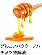 グルコノバクター／ハチミツ発酵液