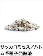 サッカロミセス／ハトムギ種子発酵液
