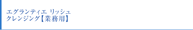 エグランティエ リッシュ クレンジング【業務用】