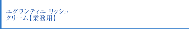 エグランティエ リッシュ クリーム【業務用】