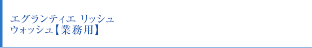 エグランティエ リッシュ ウォッシュ【業務用】