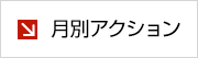 月別アクション